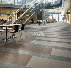 Forbo Marmoleum Modular te3745 Cornish grey фото 2 | FLOORDEALER